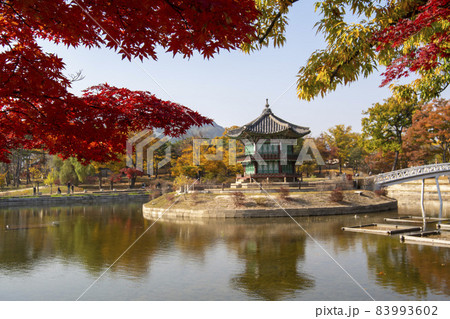 鍾路区 ソウル 韓国 83993602