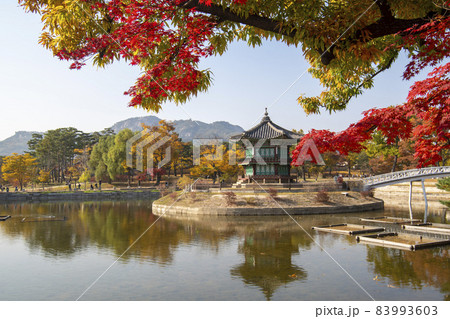 鍾路区 ソウル 韓国 83993603