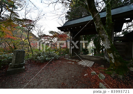 瑞宝寺公園の紅葉 83993721