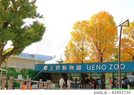 東京都恩賜上野動物公園　表門　上野動物園　東京都台東区上野公園9-83 83993730