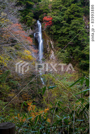 秘境の秋の五家荘紅葉風景 83993886