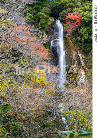 秘境の秋の五家荘紅葉風景 83993887