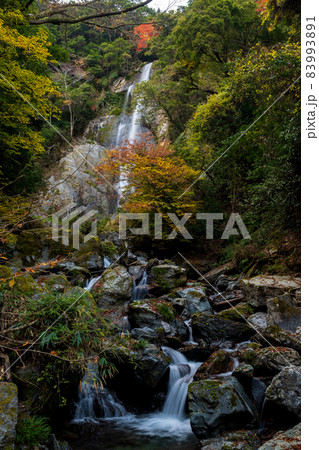 秘境の秋の五家荘紅葉風景 秘境の秋の五家荘紅葉風景 83993891