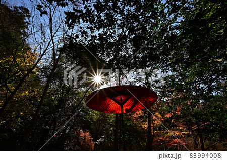 瑞宝寺公園の紅葉 83994008