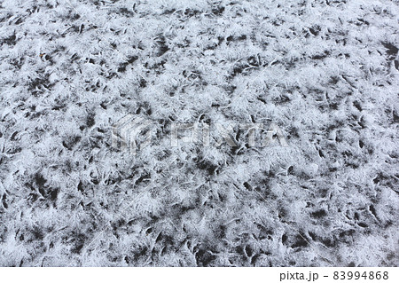 Freezing of surface of the Lake Manzherok, Altai Freezing of surface of the Lake Manzherok, Altai 83994868