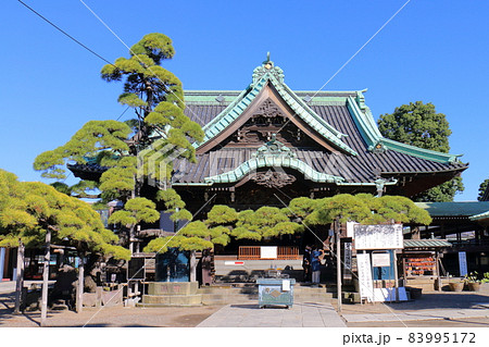 柴又帝釈天帝釈堂と瑞龍の松　東京都葛飾区柴又7丁目　帝釈天題経寺　経栄山題経寺　瑞龍の松 83995172