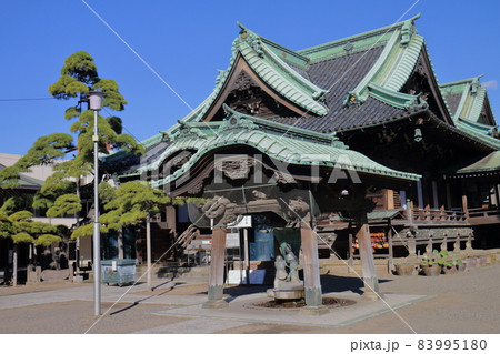 柴又帝釈天帝釈堂と瑞龍の松 東京都葛飾区柴又7丁目 帝釈天題経寺 経栄山題経寺 瑞龍の松 柴又帝釈天帝釈堂と瑞龍の松 東京都葛飾区柴又7丁目 帝釈天題経寺 経栄山題経寺 瑞龍の松 83995180