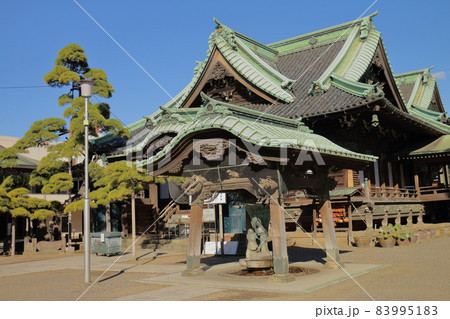 柴又帝釈天帝釈堂と瑞龍の松　東京都葛飾区柴又7丁目　帝釈天題経寺　経栄山題経寺　瑞龍の松 83995183