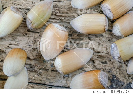 closeup hazelnuts with nutshells on a wooden table closeup hazelnuts with nutshells on a wooden table 83995238
