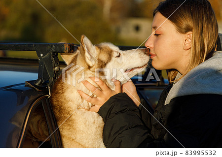Young girl kisses a husky dog that looks out of the car window Young girl kisses a husky dog that looks out of the car window 83995532