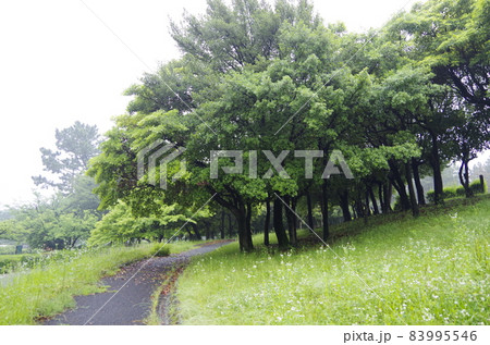 ラムサール条約湿地 藤前干潟 ラムサール条約湿地 藤前干潟 83995546