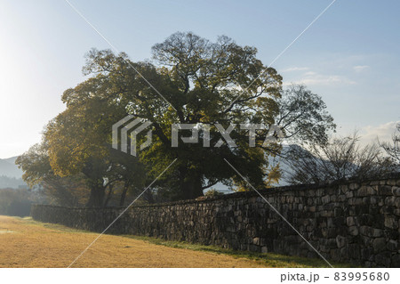 民俗村 建築 私的 83995680