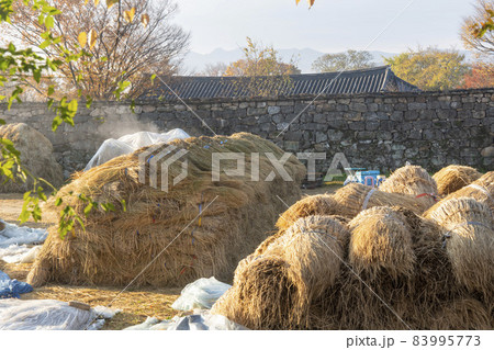 民俗村 建築 私的 83995773