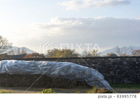 風景 楽安邑城 秋 83995778