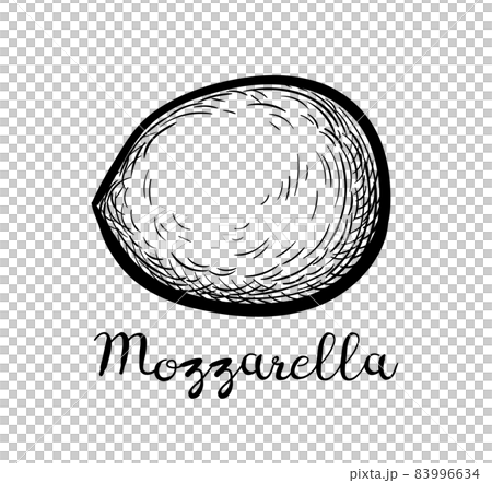 Ink sketch of mozzarella cheese. 83996634