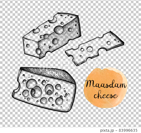 Ink sketches of swiss cheese 83996635