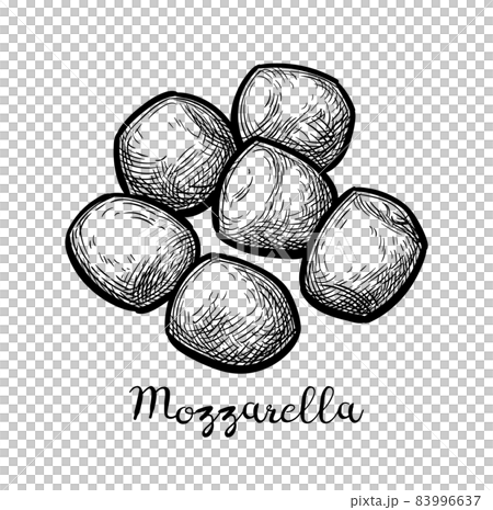 Ink sketch of mozzarella cheese. 83996637