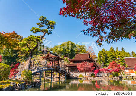 秋の虎渓山永保寺〈岐阜県多治見市〉 83996653