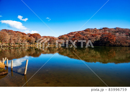 八丁池の紅葉 83996759