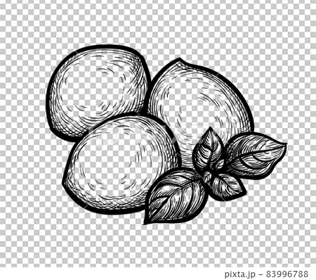 Mozzarella cheese with basil. 83996788