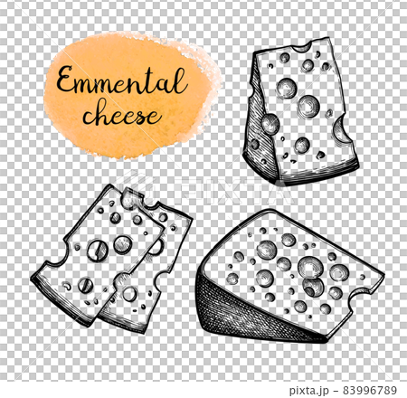 Ink sketches of swiss cheese 83996789