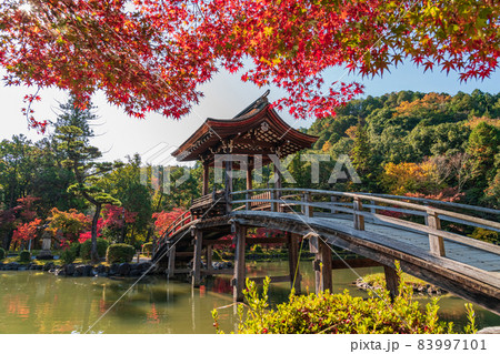 秋の虎渓山永保寺〈岐阜県多治見市〉 83997101
