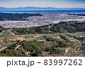 粟岳から見る茶畑風景 83997262