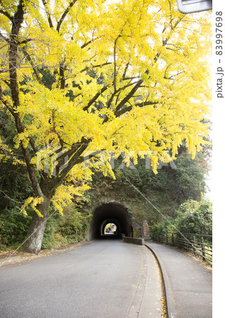 青の洞門 入り口 青の洞門 入り口 83997698