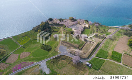 『春』桜の原城跡　島原の乱 83997754