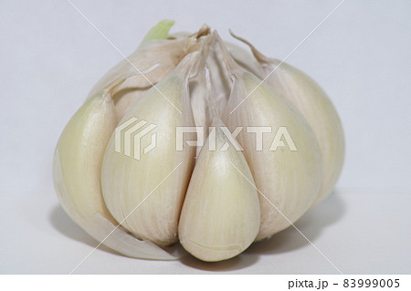 ニンニク にんにくのアップ ニンニク にんにくのアップ 83999005