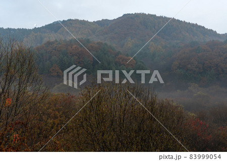 麟蹄郡 江原道 韓国 83999054