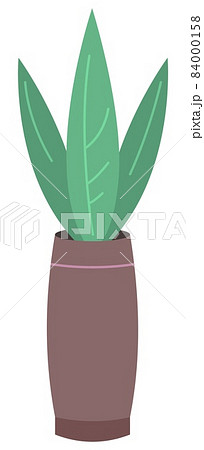 Flower in tall vase. Flat home plant vector illustration Flower in tall vase. Flat home plant vector illustration 84000158