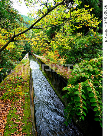 京都・南禅寺・秋の水路閣 84000656