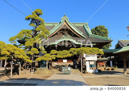 柴又帝釈天帝釈堂と瑞龍の松 東京都葛飾区柴又7丁目 帝釈天題経寺 経栄山題経寺 瑞龍の松 柴又帝釈天帝釈堂と瑞龍の松 東京都葛飾区柴又7丁目 帝釈天題経寺 経栄山題経寺 瑞龍の松 84000836
