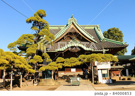 柴又帝釈天帝釈堂と瑞龍の松 東京都葛飾区柴又7丁目 帝釈天題経寺 経栄山題経寺 瑞龍の松 柴又帝釈天帝釈堂と瑞龍の松 東京都葛飾区柴又7丁目 帝釈天題経寺 経栄山題経寺 瑞龍の松 84000853