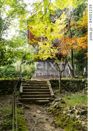 【愛知県】　鳳来寺 84001239