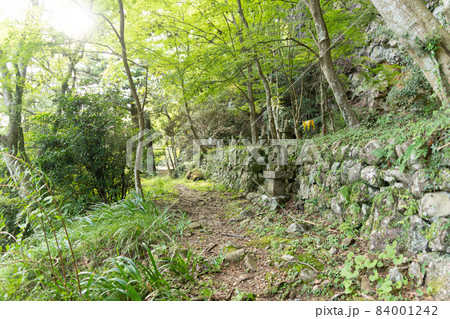 【愛知県】　鳳来寺 84001242