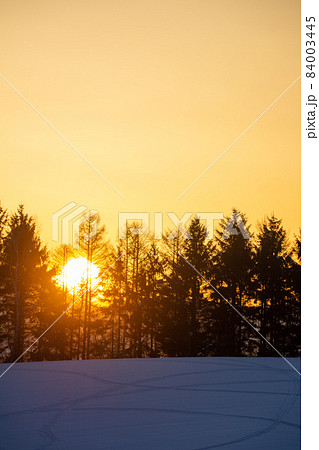冬の夕暮れの丘の松林と夕日 冬の夕暮れの丘の松林と夕日 84003445