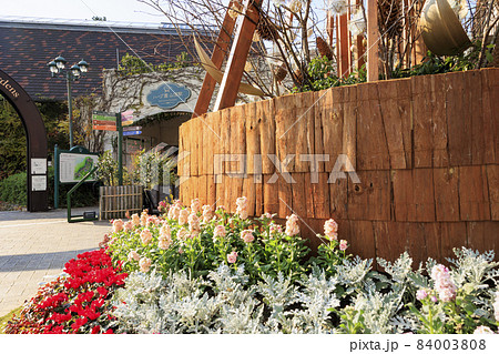 紅葉真っ盛りの神戸布引ハーブ園 84003808