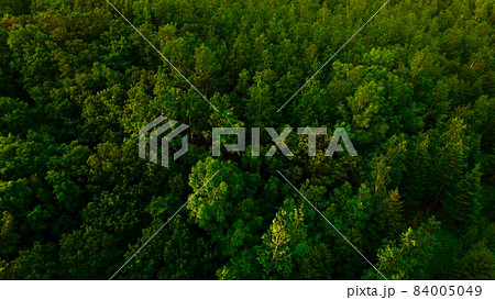 ドローンで上空から撮影した「知床の森」（北海道斜里郡斜里町） 84005049
