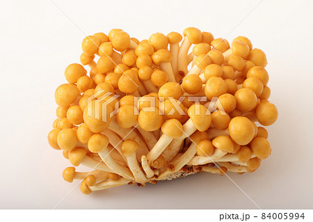 株とり　なめこ 84005994