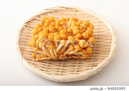 株とり　なめこ 84005995