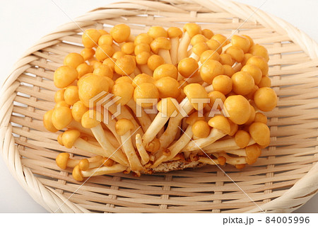 株とり　なめこ 84005996