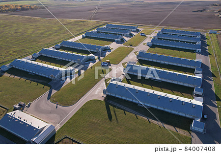 Farm building with cows and pigs in the village, aerial view. Farm building with cows and pigs in the village, aerial view. 84007408