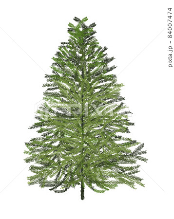 クリスマスツリー_リアルタッチ_縦のイラスト素材 [84007474] - PIXTA, 画像サイズ:357x450