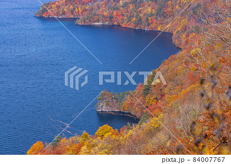 十和田湖の紅葉 十和田湖の紅葉 84007767