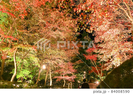 新潟三大紅葉ライトアップ 柏崎赤坂山公園 松雲山荘 新潟三大紅葉ライトアップ 柏崎赤坂山公園 松雲山荘 84008590