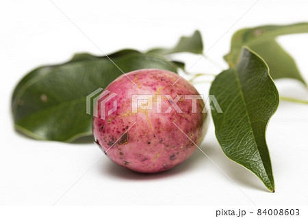 ムベ　実 84008603