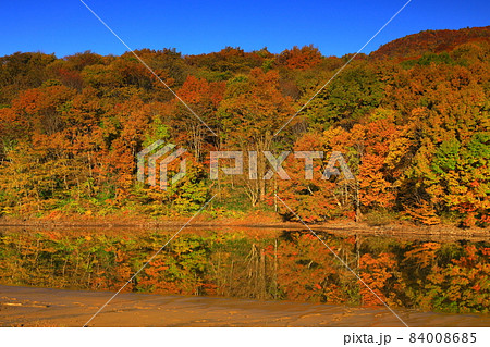 岩手県奥州市　紅葉の奥州湖 84008685