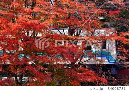 鉄道 列車 叡山電鉄 紅葉 鞍馬 京都 貴船 貴船口 秋 叡電 エイデン えいでん 洛北 2021 鉄道 列車 叡山電鉄 紅葉 鞍馬 京都 貴船 貴船口 秋 叡電 エイデン えいでん 洛北 2021 84008781